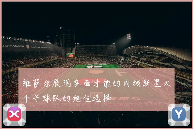 维萨尔展现多面才能的内线新星大个子球队的绝佳选择