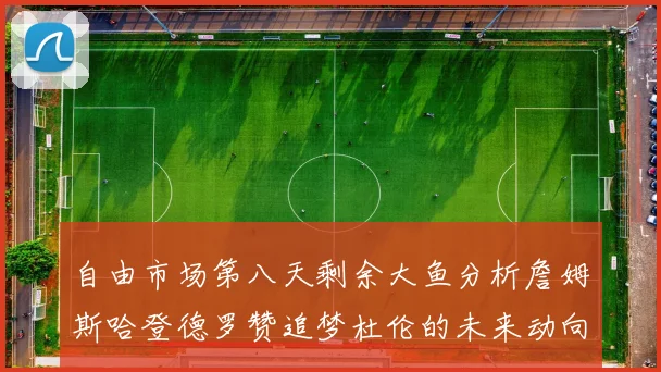自由市场第八天剩余大鱼分析詹姆斯哈登德罗赞追梦杜伦的未来动向